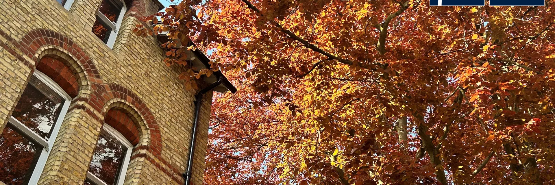 Picture of the department of education exterior in the autumn, next to tree with red leaves.
